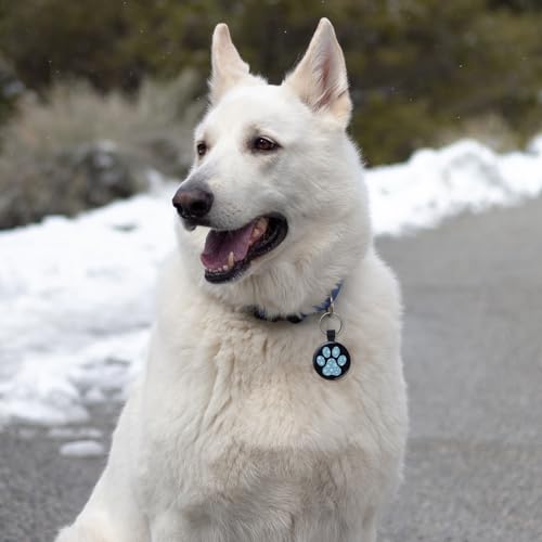 MYLUCKYTAG QR Code Pet ID | Personalized Dog & Cat Collar Tag | Online Profile with Instant Scanned Location Alert Email - style: Blue Snow Paw