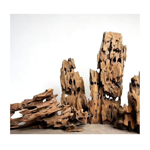 Aquarium Driftwood Shrimp Wood Natural Trunk & Assorted Branches 1.9-3.9" (5-10cm) Terrarium Ornament for Fish, Shrimp & Reptiles Habitat Decor, 5 Pcs