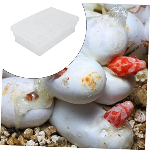 GALPADA 20grids Hatching Incubation Box for Reptiles Plastic Widely Used for Snakes Lizards Geckos and More Improve Incubation Rate
