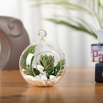 WGV Hanging Terrarium Globe, Width 4", Height 4.75", DIY Air Succulent Planter, Clear Glass Vase Orb with Flat Bottom, Candle Holder for Windowsill Outdoor Garden Decor, 3 Pieces Bulk - size: 4"