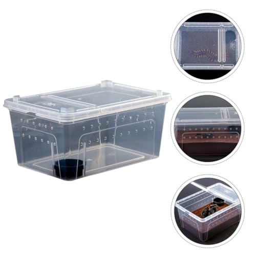 HOMSFOU Acrylic Reptile Feeding Box for Small Pets with High Surface Hardness and Safe Design, Climbing Pet Container Suitable for Living Foods and Transporting Animals Random Color