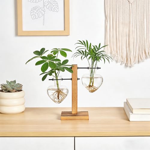 Mkono Propagation Stations,2 Heart Shaped Glass Plant Vases with Wood Stand | Hydroponic Terrarium, Desktop Propagation Jars, Cute Air Plant Flower Holder,Home Office Decor, Plant Lover Gardening Gift - size: 2 Heart Bulb Vase