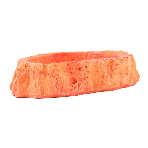 Toddmomy Reptile Water Bowl Lizard Accessories Reptile Food Feeder Bowl Skid-Resistant