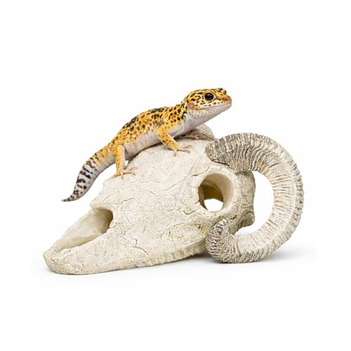 Reptile Hide Cave, Ram Skull Resin Shelter for Leopard Gecko, Lizard, Small Snake, Frog and Salamander, Terrarium Aquarium Fish Tank Decor for Small Reptiles and Amphibians