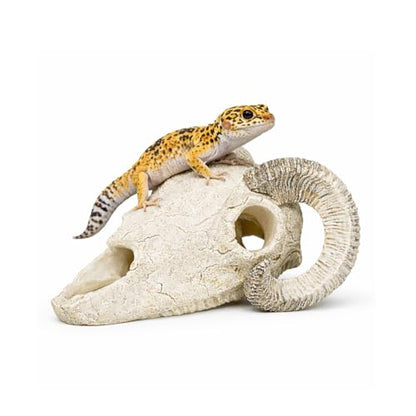 Reptile Hide Cave, Ram Skull Resin Shelter for Leopard Gecko, Lizard, Small Snake, Frog and Salamander, Terrarium Aquarium Fish Tank Decor for Small Reptiles and Amphibians