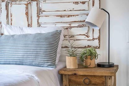 Driftwood Container with Custom Air Plant - Succulents - Live Tillandsia - Easy Care Indoor and Outdoor House Plants (Bulbosa Belize) - style: Bulbosa Belize