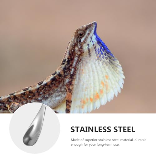 POPETPOP Sturdy Stainless Steel Feeding Spoon Small Pet Food Scoops for Gecko Lizard - color: As Shown