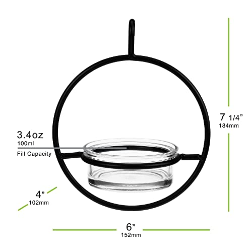 Hummble Hanging Glass Bluebird Mealworm Feeder for Wild Birds, High Protein Feeder for Bluebirds, Decorative Outdoor Feeder, Easy Fill and Clean 3.4 oz