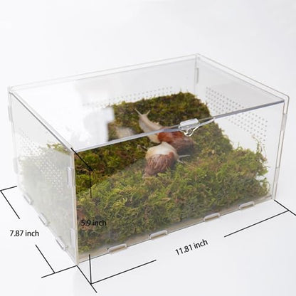 Snail Terrarium Kit with Climbing Accessories11.22 L x 7.87" W x 6" H Clear Small Animal House for Snails, Caterpillars& Small Critters – Includes 7" Climbing Wall and Substrate