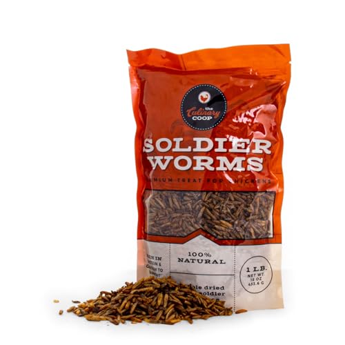 Fluker's Culinary Coop Premium Chicken Treats, Dried Soldier Worms, Packed with Protein and Calcium, 100% Natural Rich Grubs for Chicken, Backyard Birds, and Reptiles, 16 oz - size: 1 pound (Pack of 1)