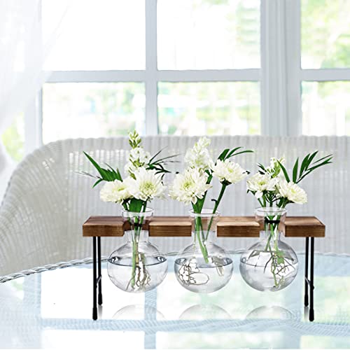 Propagation Station, 3 Pcs Bulb Vase Glass Plant Propagation Station Modern Desktop Glass Planter Hydroponic Table Top Planter Glass Flower Vases for Home Garden Office Coffee Table Décor
