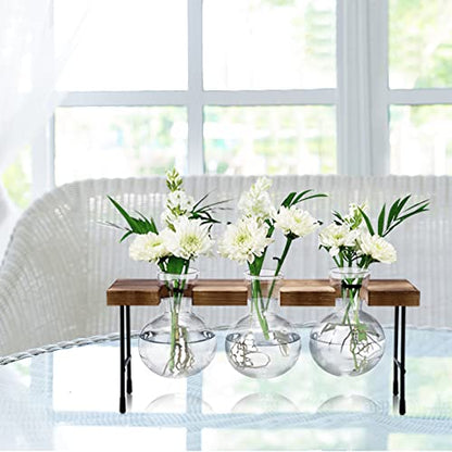 Propagation Station, 3 Pcs Bulb Vase Glass Plant Propagation Station Modern Desktop Glass Planter Hydroponic Table Top Planter Glass Flower Vases for Home Garden Office Coffee Table Décor