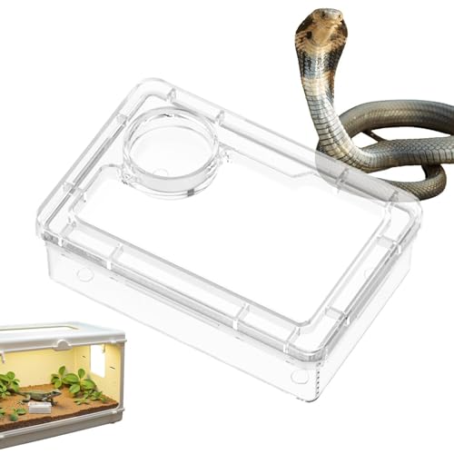 Reptile Food Dish Anti-Escape Crested Gecko Food Dish | Pet Supplies for Habitat Tank Cage Enclosure Feeding Chameleon Lizard Gecko Spider - color: White