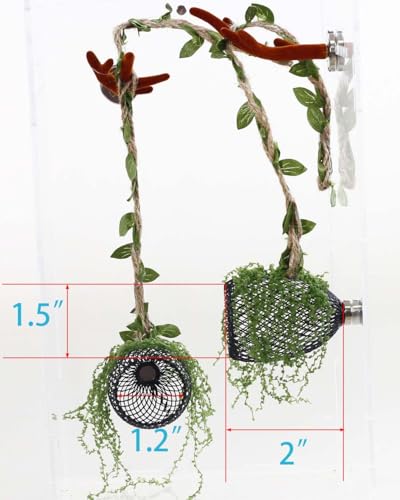 5Pcs Jumping Spider Enclosure Accessories with Hammock, Magnetic Climbing Rope, Resting Ledge Platforms and Feeding Dish Bowl & Hook for Terrarium Habitat (Two Hammocks) - color: Two Hammocks