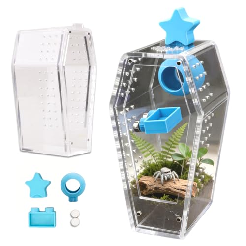 Jumping Spider Enclosure Kit, Accessories Terrarium 6PCS-Blue | Blue Water Feeder, Star Hide, Air-Permeable, Gap-Free Design, Escape-Proof for Tarantula, Beetle and Small Reptiles - color: Blue