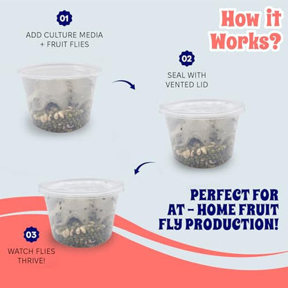 16 oz Deli Cup and Fabric Vented Insect Feeder lids by Snout & Shell - Pack of 10 Cups and lids - size: 16oz/10 cups