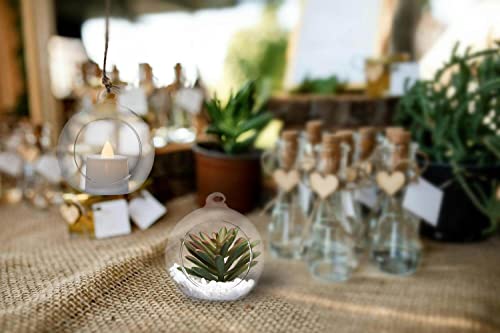 Hanging Candle Holder, Globe Tea Light Holder, Hanging Vase, Terrarium, Orbs Container, Micro Landscape DIY for Home, Office, Wedding (3.15" 6Pcs) - color: 3.15" 6pcs
