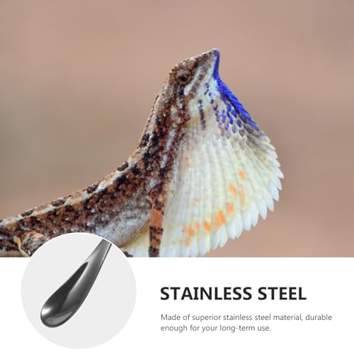 POPETPOP 2pcs Reptile Food Spoon Stainless Steel Lizard Feeding Scoop Small Animal Water Food Feeder for Lizards Chameleons and Other Pets - color: As Shown 1