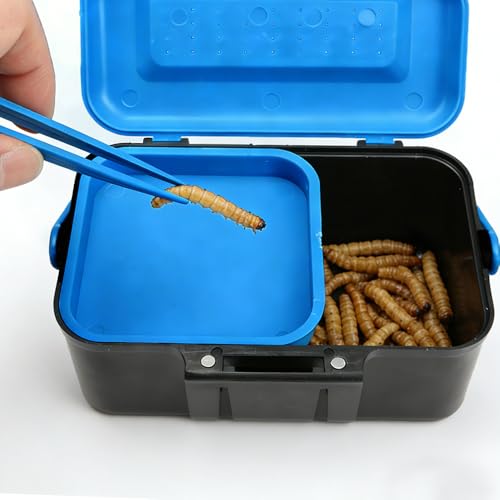 Small Size Mealworms Breeding Box Mealworms Feeding Kit to Breed Live Worms for Small Reptile Spider Manti Insects (Blue)