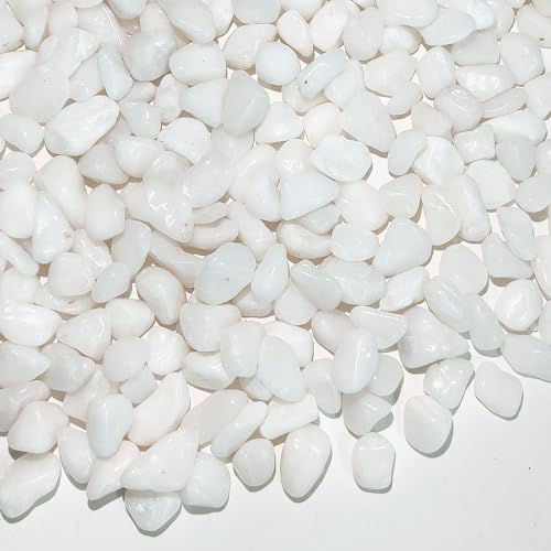 FANTIAN White Pebbles for Indoor Plants, 3/8 Inch Decorative White Stones. Polished River Rocks for Potted Plants Vase Cactus Bird Bath and Outdoor Garden Landscaping - size: 1 pound, style: White