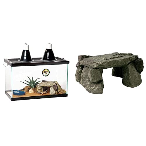 Zilla 10 Gallon Desert Pet Reptile Starter Habitat Kit with Zilla Shale Rock Den Decor Hideout Bundle