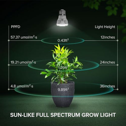 A15 7W Full Spectrum Grow Light Bulbs, E26, 2 Pack | 4000K full-spectrum light with red and blue wavelengths for indoor plant use;A15 bulb shape with a standard E26 base - size: 2 Pack