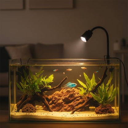 Mini Aquarium Spotlight with Timer, Clip-On Gooseneck Lamp, 15°-90° Zoom | Tri-Color White/Warm White/Warm Light, Dimmable 3W USB, 5.2 In Gooseneck, Fits Glass Up To 8mm - color: Black - with Timer