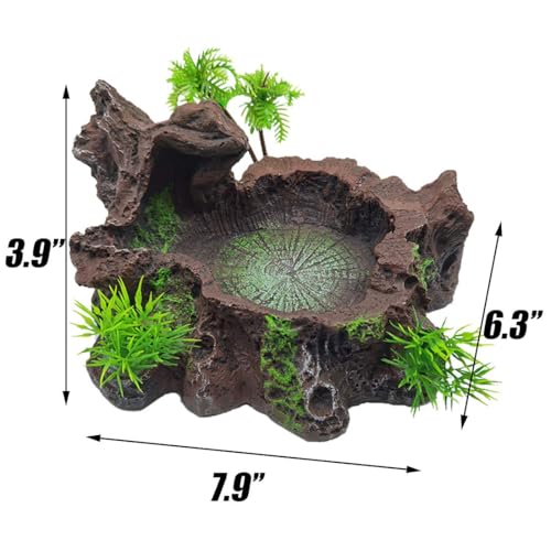 Tfwadmx Reptile Feeding Bowl,Resin Beared Dragon Food Water Dish Reptile Tank Decor for Lizard Gecko Chameleon Frog Turtle Spider