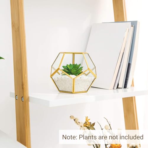 Mkono 3 Pack Geometric Glass Terrarium, 4" Gold Air Plant Holder Tabletop | Modern Centerpiece Decor, 3 Shapes Metal Frame, Fits Succulent Moss Fairy Garden Shelf Coffee Table, Plants Not Included - color: Gold