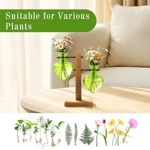 XXXFLOWER Plant Propagation Station Terrarium 2 Green Heart Shaped Vase | Terrarium Kit Bulb Glass Metal Desk Plant Holder, Retro Air Plants Water Plants, Home Office Decoration - color: Green