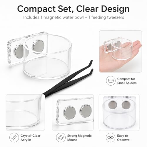 2 Pack Jumping Spider Feeding Dish – Acrylic Magnetic Water Bowl with Feeding Tong | Leak-Proof Tarantula Food Dish Small Reptile Water Dish | Jumping Spider Enclosure Accessories - color: 2 pcs