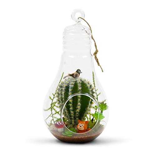 WGV Hanging Glass Plant Terrarium, Width 4.25", Height 8.25", Bulb DIY Air Succulent Planter Clear Tea Light Votive Candle Holder, Wedding Event Office Home Outdoor Decor, 1 Piece - size: Bulb L