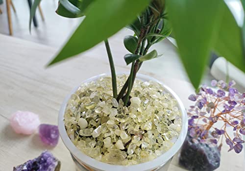 ZHIYUXI Citrine Crystal Chips Fish Tank Gravel Vase Filler Stones Bulk Crushed Crystals Gemstone Polished Natural Quartz Stone Healing Crystals Glass Stones Fish Rocks - color: H# Citrine, size: 0.22lbs