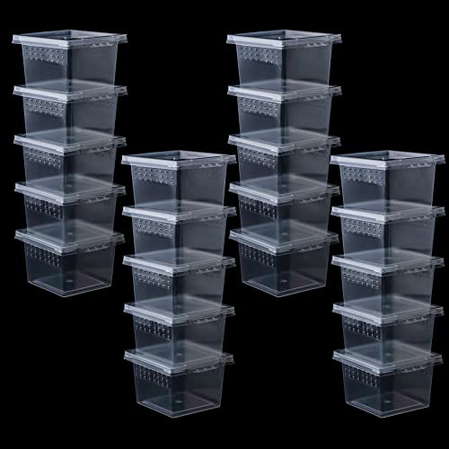 DQITJ 20 Pcs Spider Terrariums Breeding Box Hatching Container Acrylic Feeding Box for Small Reptile Scorpion Centipede Insect (Small Size)