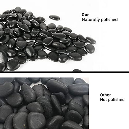 Black Pebbles for Plants 3lb Bulk Bag 0.5"- 1" Aquarium Gravel Decorative Polished Stone Natural River Rocks for Fish Tank… - size: 3LB, style: Black