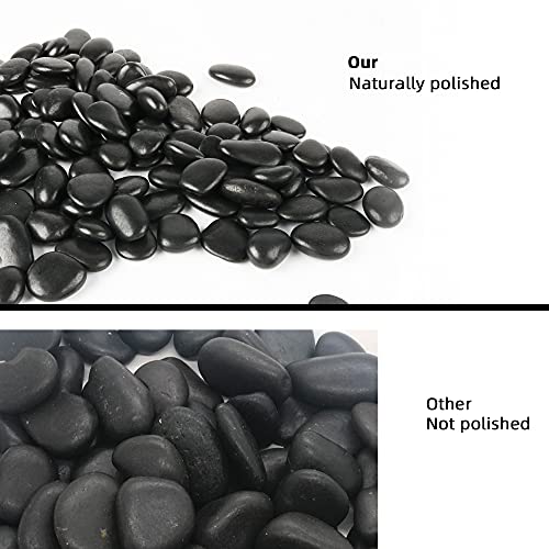 Black Pebbles for Plants 7lb Bulk Bag Aquarium Gravel 0.5"- 1" Decorative Polished Fish Tank Stone River Rocks - size: 7LB, style: Black