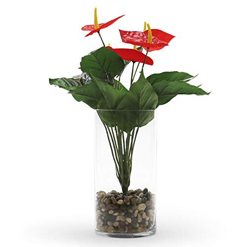 WGV Cylinder Vase, Width 6", Height 10", Clear Glass Container Terrarium Candle Holder for Wedding Centerpiece, Party Event, Home Office Decor, 1 Piece - size: 6"x10"H