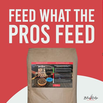 Blue Ridge Koi Fish Food 50lb - Koi Food Mini Growth Formula, Goldfish Food, Premium Fish Food for Ponds, Ponds Fish Food, Floating Pond Pellets - size: 50 Pound (Pack of 1)