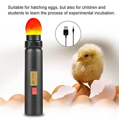 Egg Candler, LED Egg Hatching Test Light, High Intensity LED Chicken Egg Candler Mini Egg Tester Pen for Science Experiment Power by Battery & Power Supply
