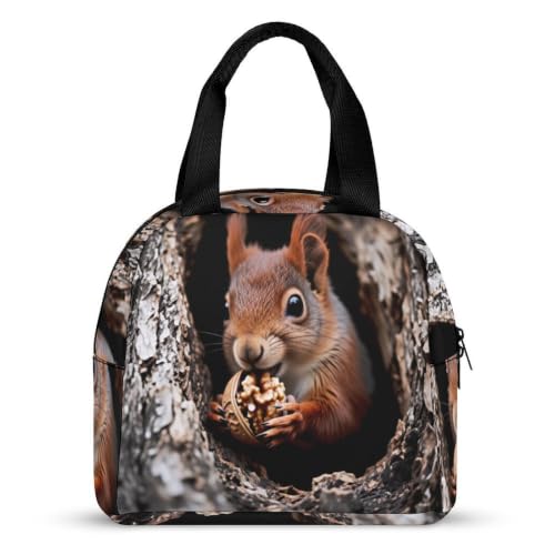 Squirrel Lunch Bag for Women Men | Insulated Lunch Box Leakproof Food Meal Containers Reusable Foldable 6L Capacity Lunch Tote Bags for Work Picnic Travel - color: style-11