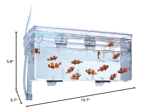 Fluval Multi-Chamber Holding and Breeding Box, Large | Up To 3 Separate Housing Compartments - size: Large