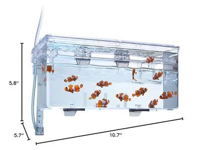 Fluval Multi-Chamber Holding and Breeding Box, Large – Up to 3 Separate Housing Compartments (Pack of 6) - size: Large (Pack of 6)