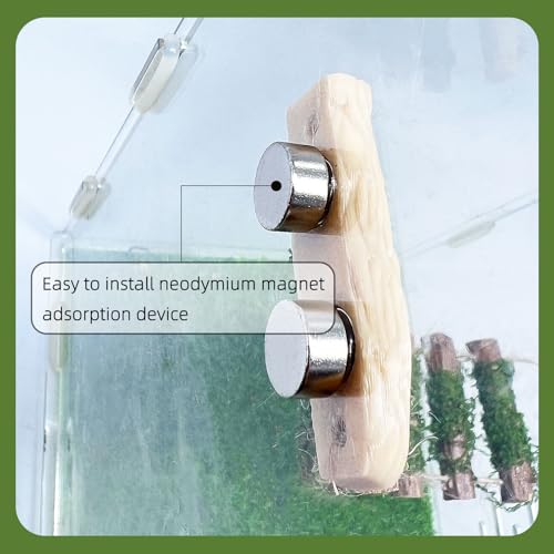 Jumping Spider Rope Bridge,A Solid Wood Climbing Suspension Bridge, a Jumping Spider Enclosure Accessory, Handmade, a Spider Jump Platform, Used As a Decorative Accessory for Small Reptile Enclosures