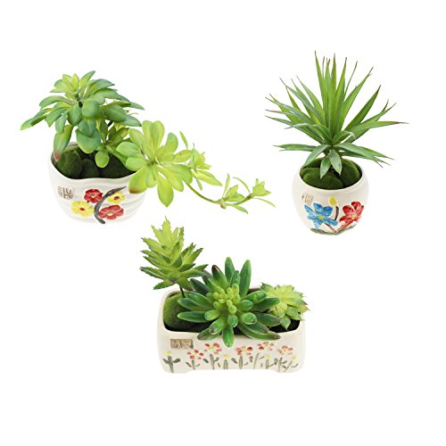 5-Pack Artificial Succulent Plants - Realistic Fake Greenery for Home Decor, Wedding Centerpieces & Terrarium Displays (Green, Mixed Sizes)