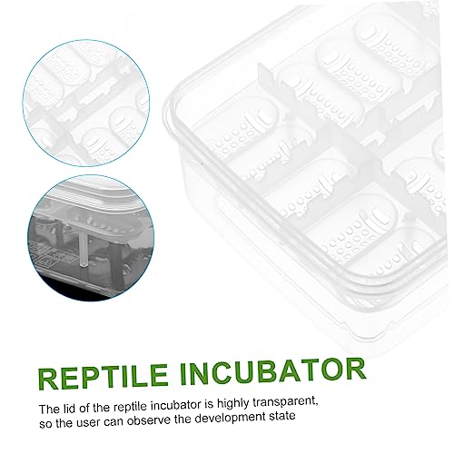 BESPORTBLE 2Pcs Compartment Reptile Hatchery Tray Lightweight Incubator Box for Lizard Easy to Clean and Portable Breeding Case