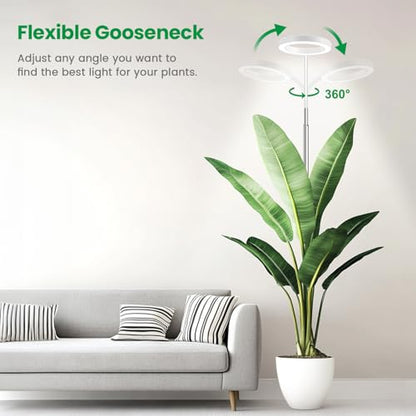 Halo Grow Light, Full Spectrum with Gooseneck, 3 Pack | 6000K Plant Light,3 Colors Modes,5 Dimmable Levels,6/12/16H Timer,65'' Height Adjustable,Soil Insert - size: White-3Pack
