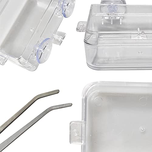 Chameleon Bowl and a Reptile Feeding Tongs 2pcs Feeder and Water Cups with Suction for Iguana Lizard Gecko Worm