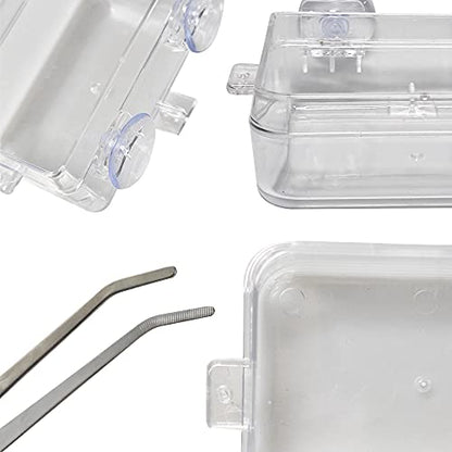 Chameleon Bowl and a Reptile Feeding Tongs 2pcs Feeder and Water Cups with Suction for Iguana Lizard Gecko Worm