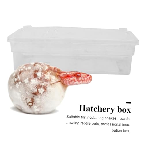 BESPORTBLE 20Grids Reptile Hatching Box Plastic Incubation Tray for Up to Eggs for Breeding Geckos Snakes and Lizards Lightweight and Portable
