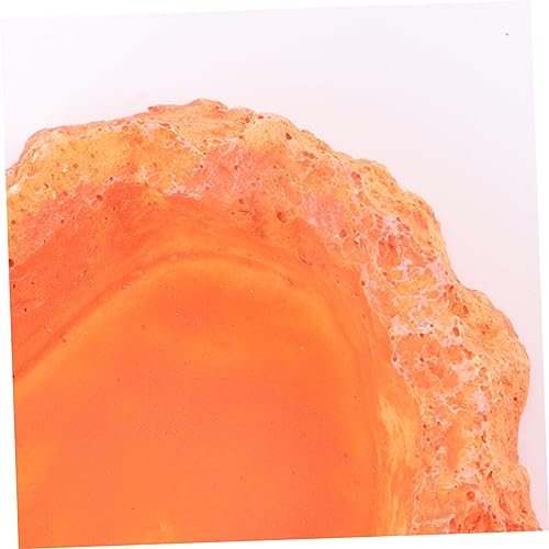 Reptile Feeding Bowl Skid Base Sturdy Food and Water Dish for Lizards Turtles and Other Crawling Pets Orange 2-in-1 Feeder Container
